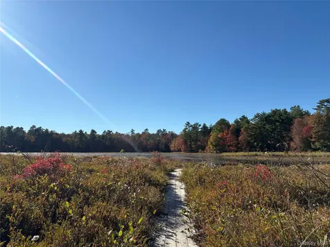 Lot 4 Deer Meadow Road White Lake NY 12786