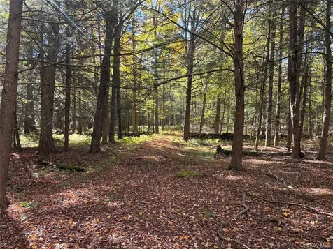 Lot 4 Deer Meadow Road White Lake NY 12786
