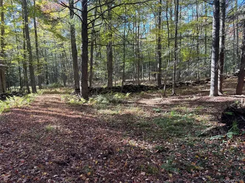 Lot 4 Deer Meadow Road White Lake NY 12786