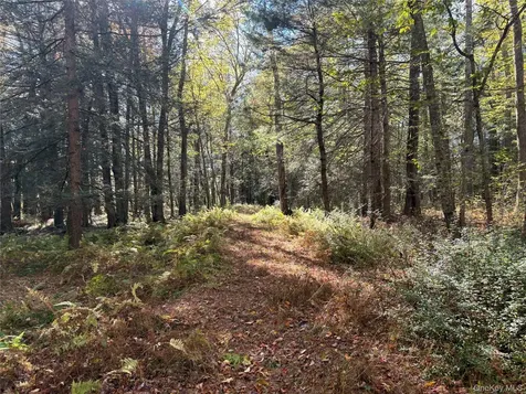Lot 4 Deer Meadow Road White Lake NY 12786