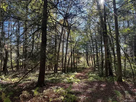 Lot 4 Deer Meadow Road White Lake NY 12786