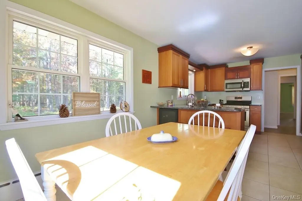 93 Downs Road Monticello NY 12701