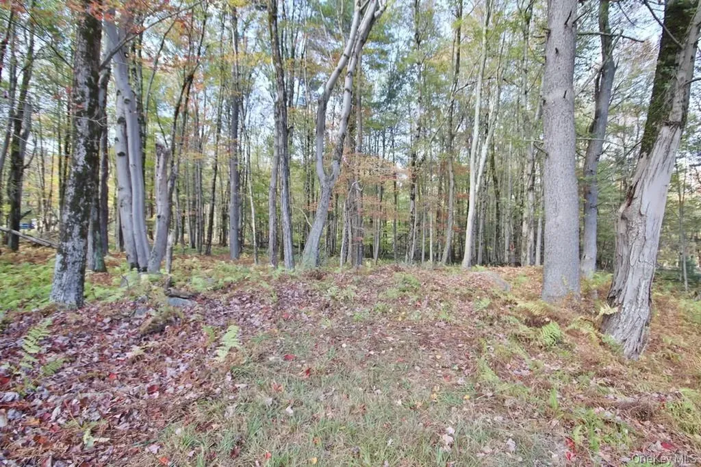 93 Downs Road Monticello NY 12701