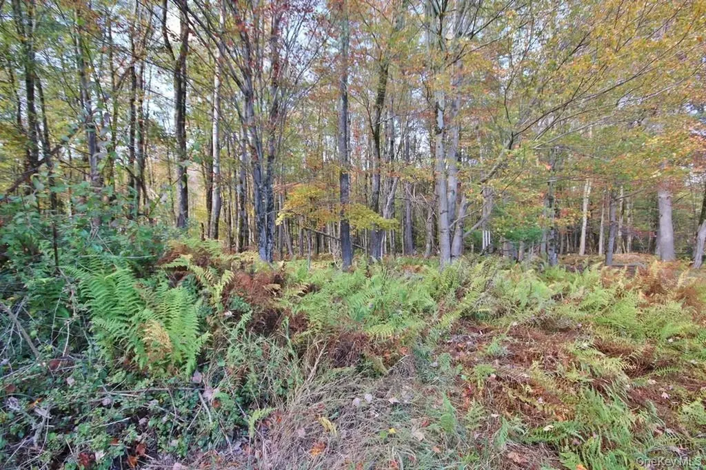 93 Downs Road Monticello NY 12701