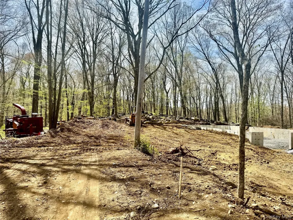 4 Webster Place Patterson NY 12563