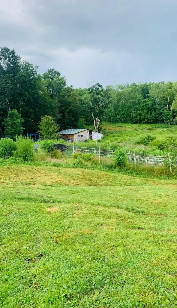 3 Burr Road Cochecton NY 12726