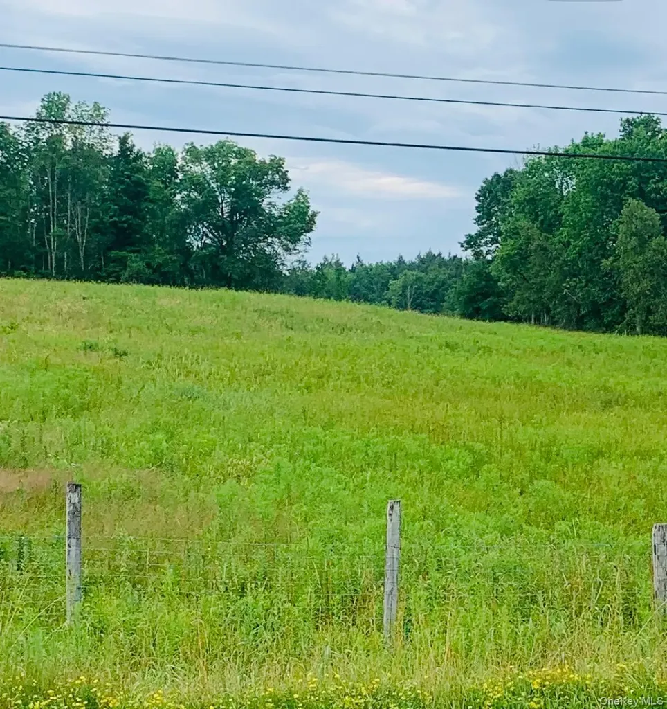 3 Burr Road Cochecton NY 12726