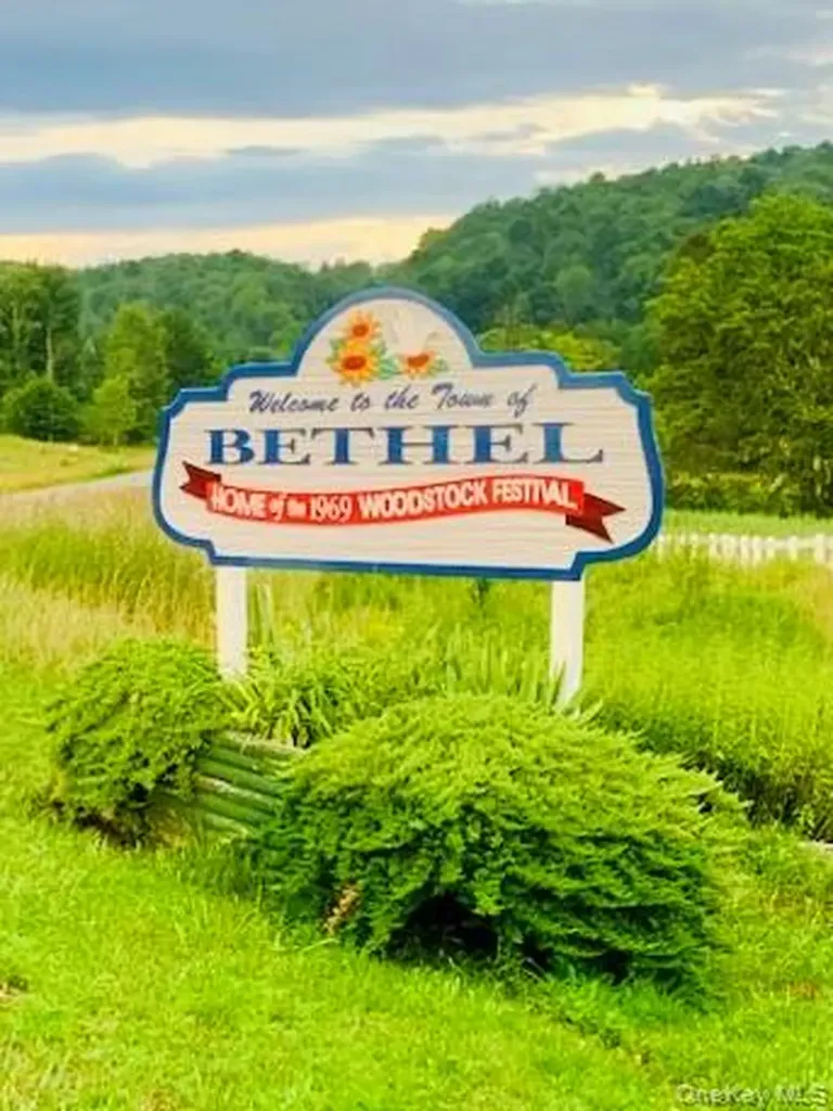 3 Burr Road Cochecton NY 12726