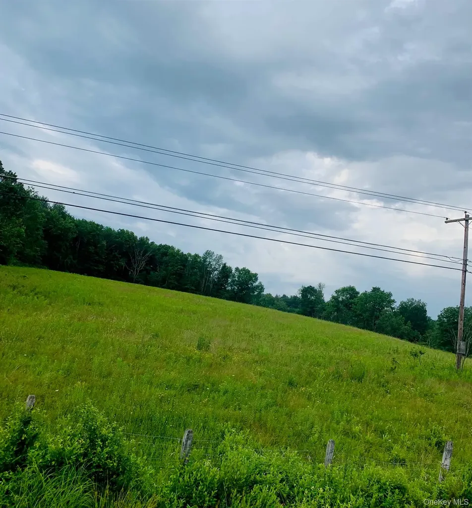 3 Burr Road Cochecton NY 12726