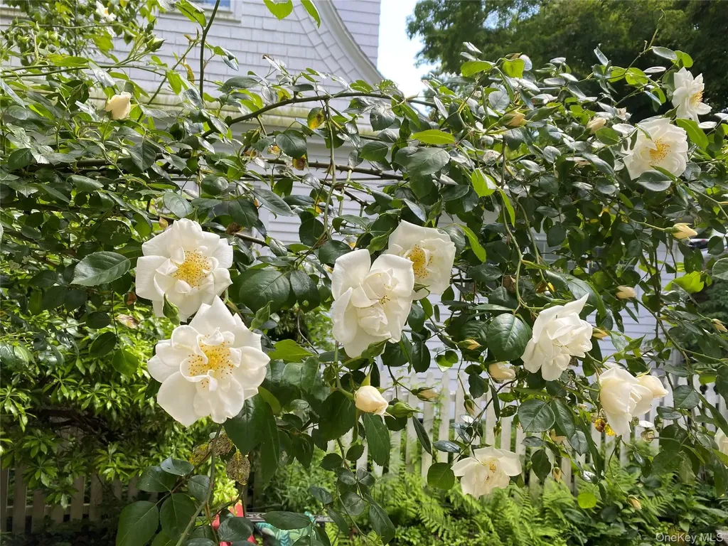 57 Gard Avenue Bronxville NY 10708