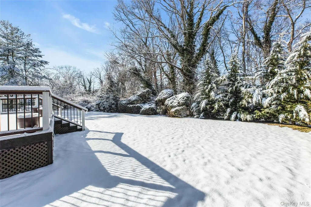 61 Hofstra Drive Plainview NY 11803