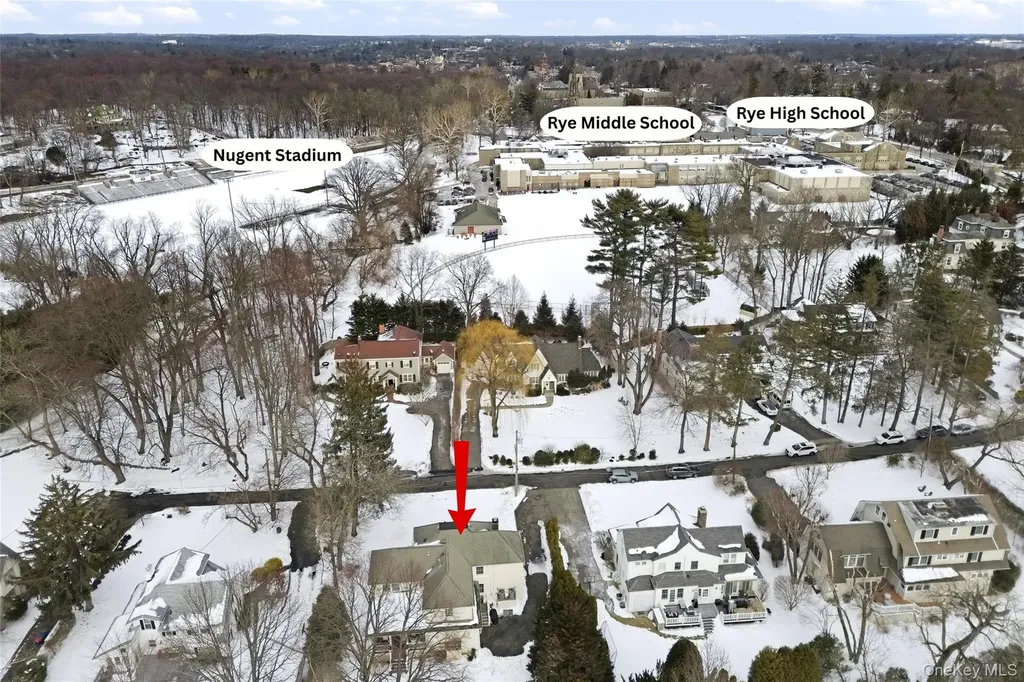 6 Pine Lane Rye NY 10580