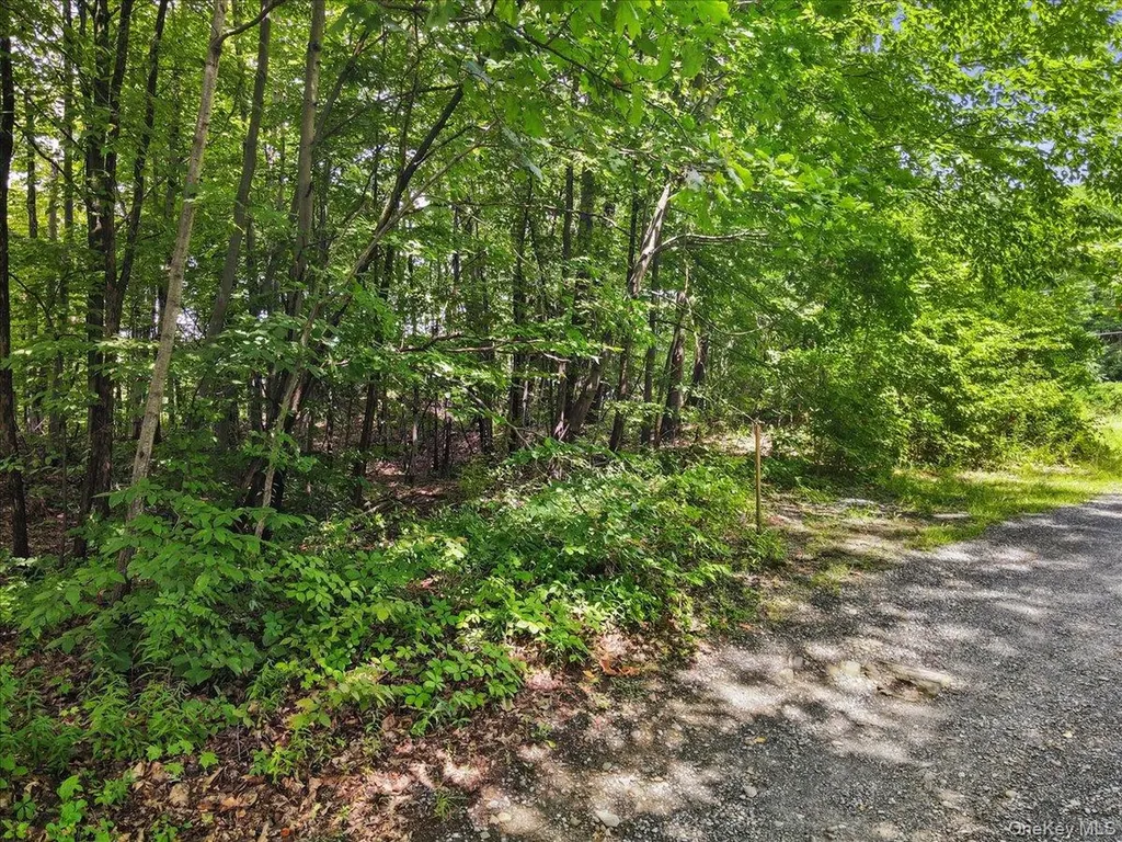 Beckrick Drive Rhinebeck NY 12572