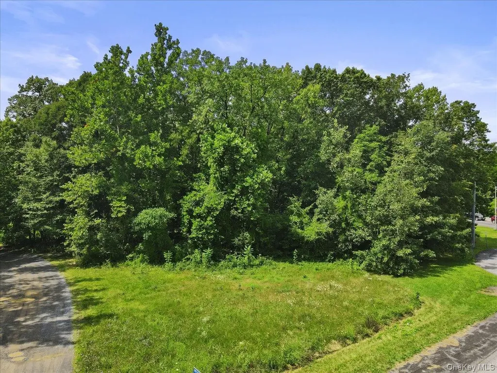 Beckrick Drive Rhinebeck NY 12572
