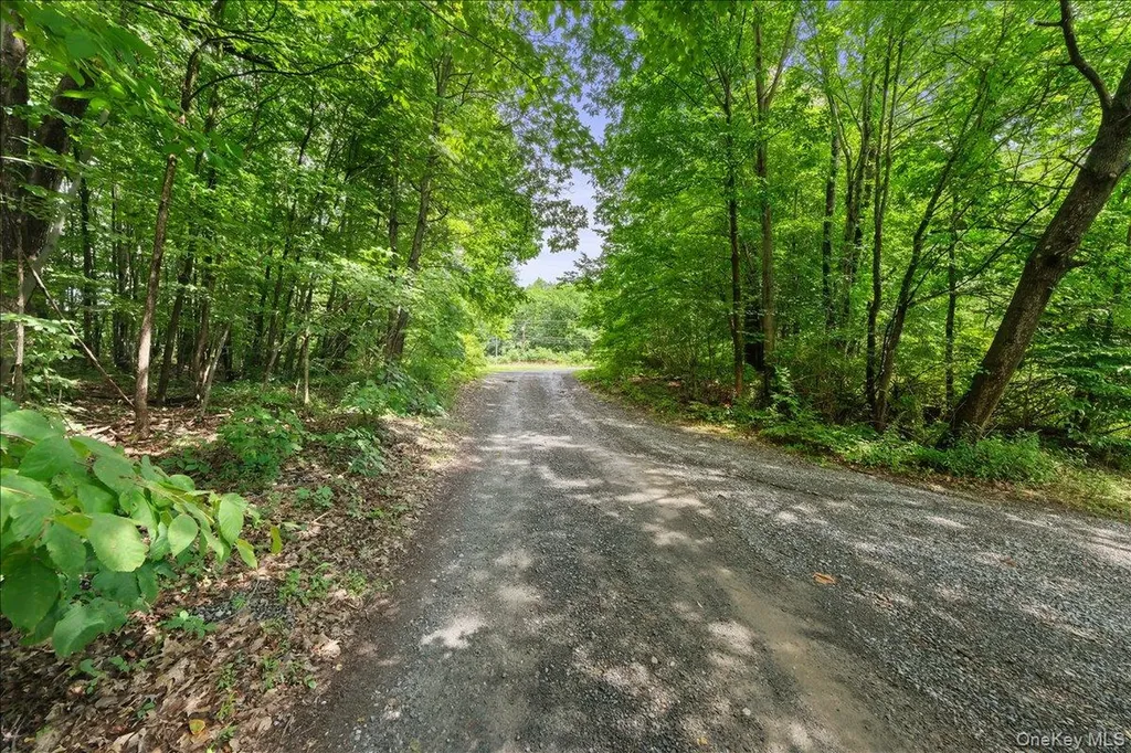 Beckrick Drive Rhinebeck NY 12572