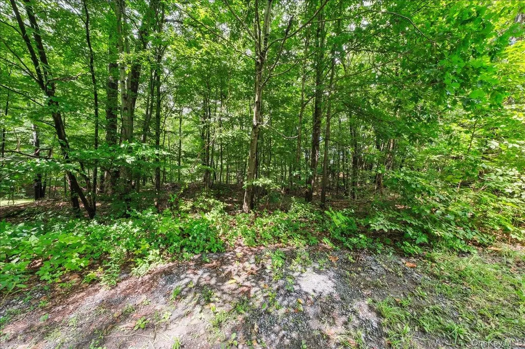Beckrick Drive Rhinebeck NY 12572