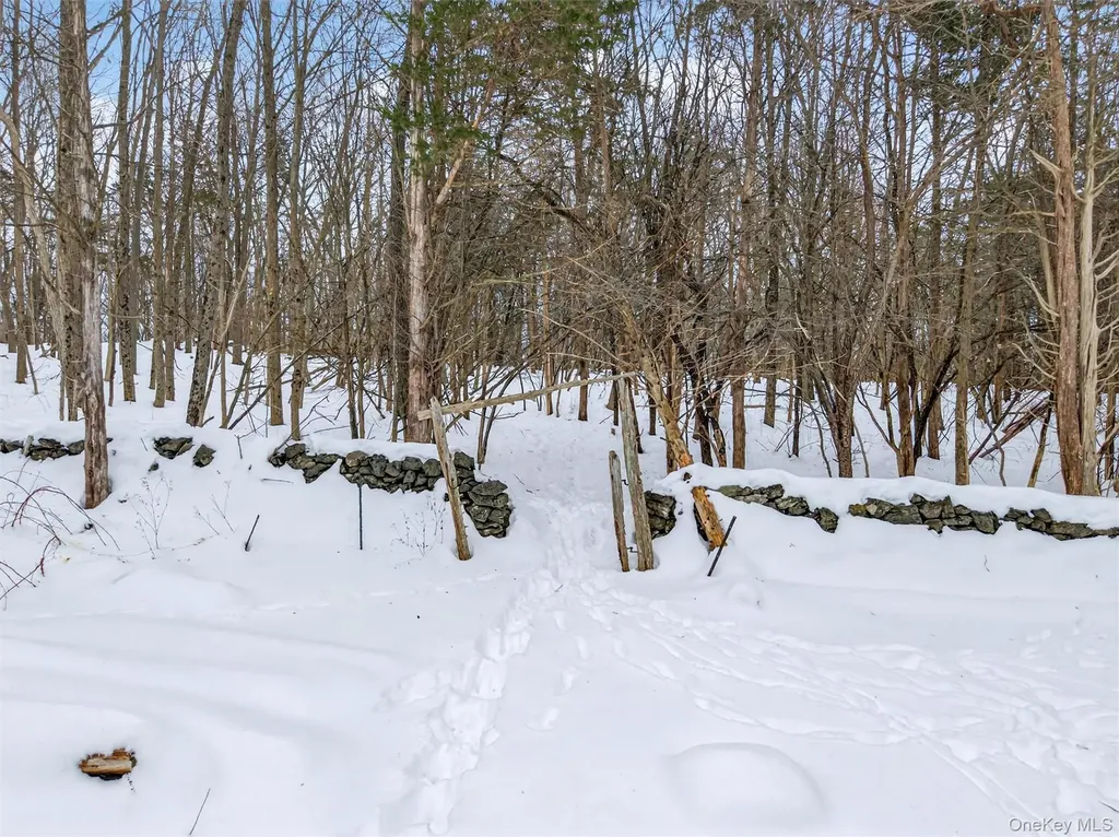 6 Dickinson Drive Warwick NY 10990
