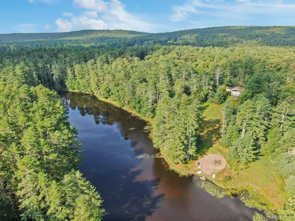 86 Beaver Brook Road Call Listing Agent NY 12764