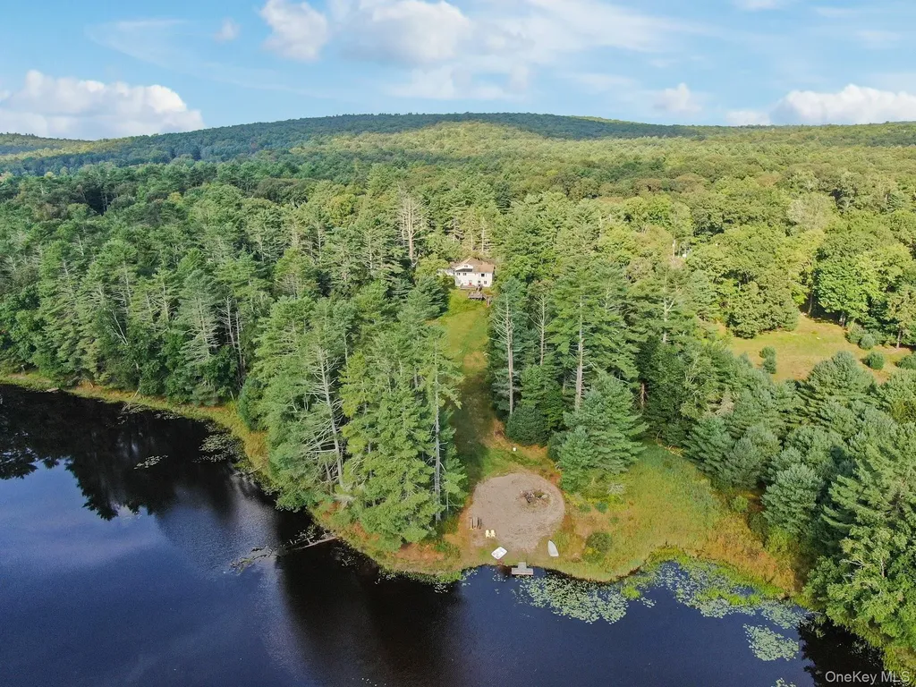 86 Beaver Brook Road Call Listing Agent NY 12764