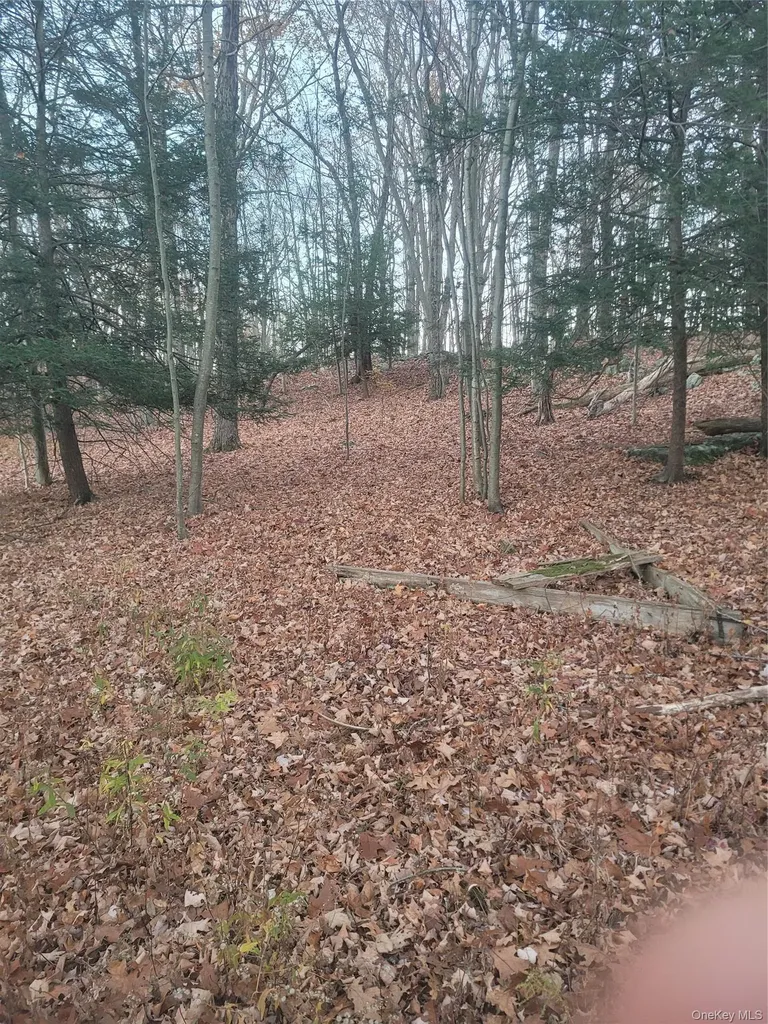 35 Shenandoah Court Carmel NY 10512