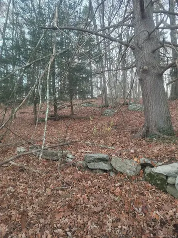 35 Shenandoah Court Carmel NY 10512
