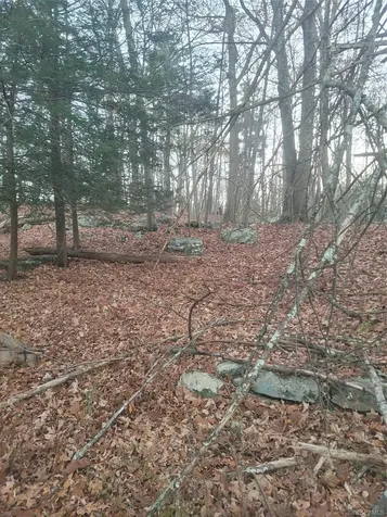 35 Shenandoah Court Carmel NY 10512