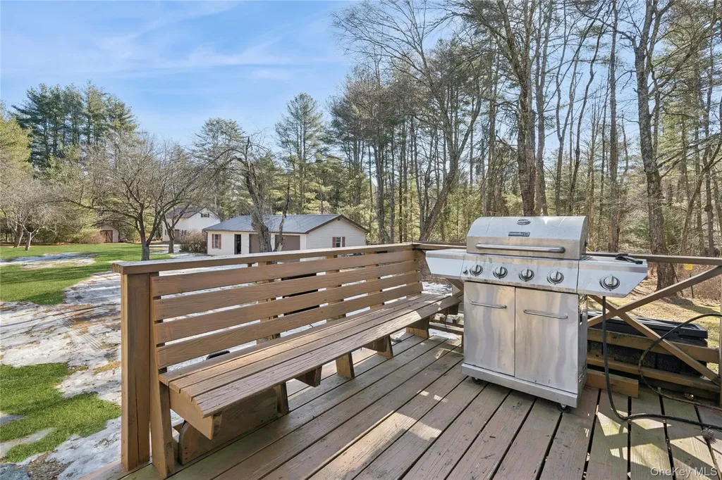 37 Nober Strunk Road Narrowsburg NY 12764