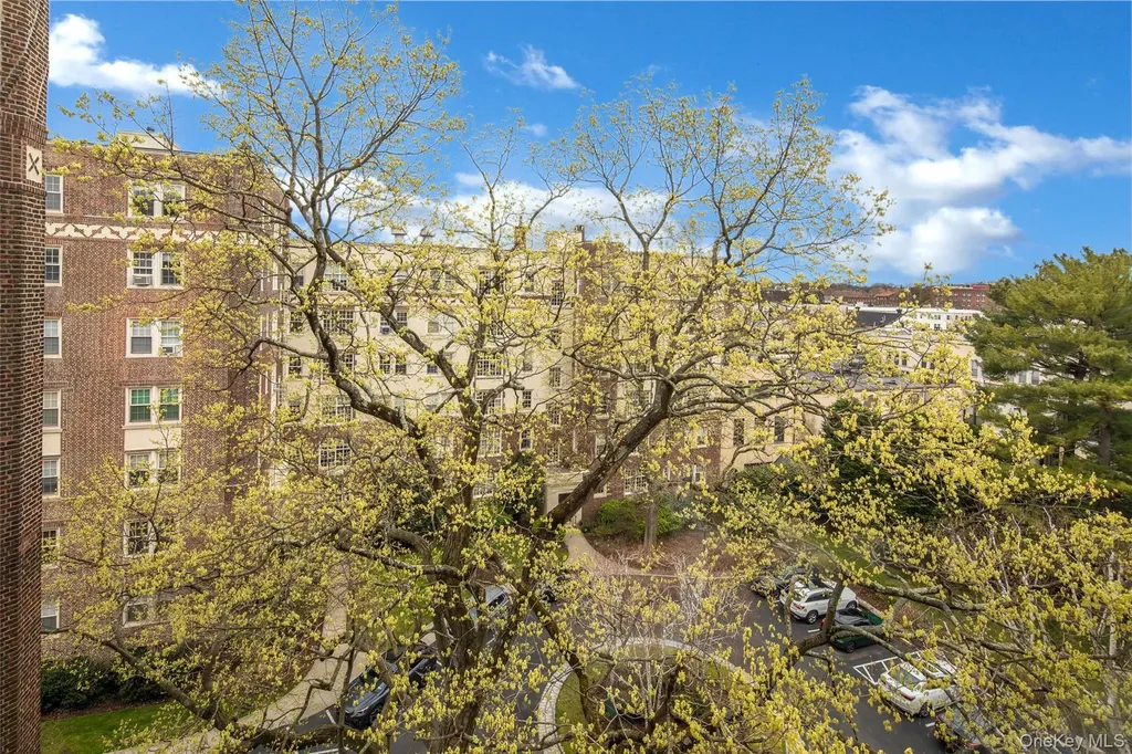 3 Tanglewylde Avenue Bronxville NY 10708