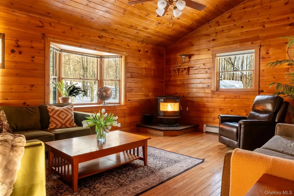 81 Macdougal Road Roscoe NY 12776