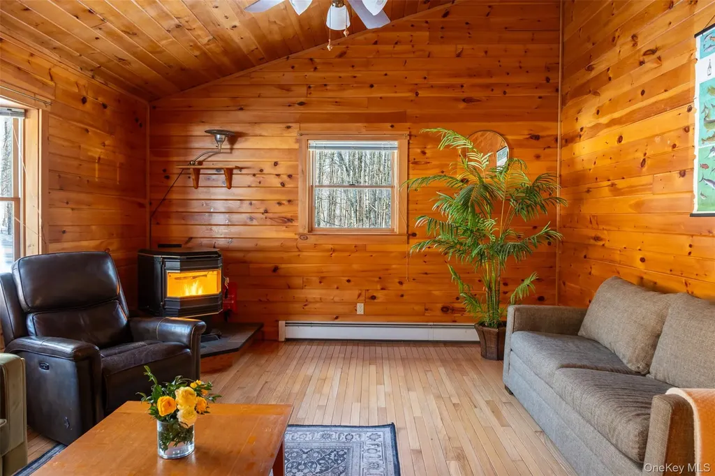 81 Macdougal Road Roscoe NY 12776