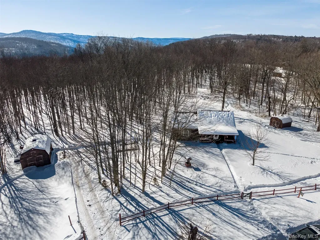 81 Macdougal Road Roscoe NY 12776