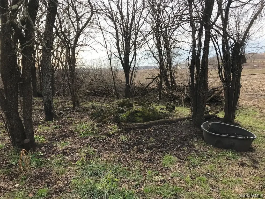 46 Jessup Switch Road Goshen NY 10924