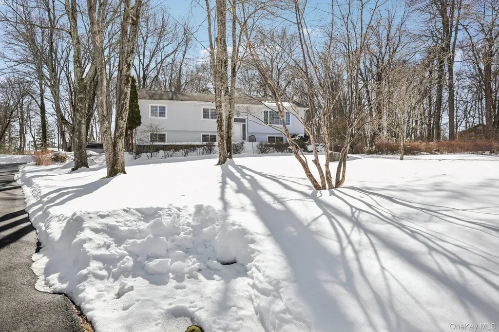 48 Cypress Lane Briarcliff Manor NY 10510