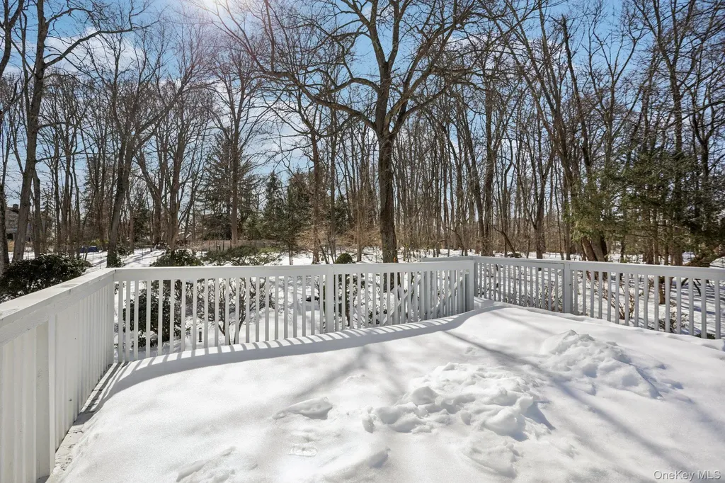 48 Cypress Lane Briarcliff Manor NY 10510