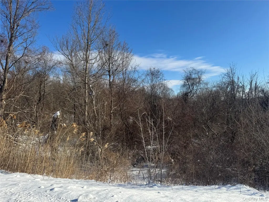 2310 Route 22 Patterson NY 12563
