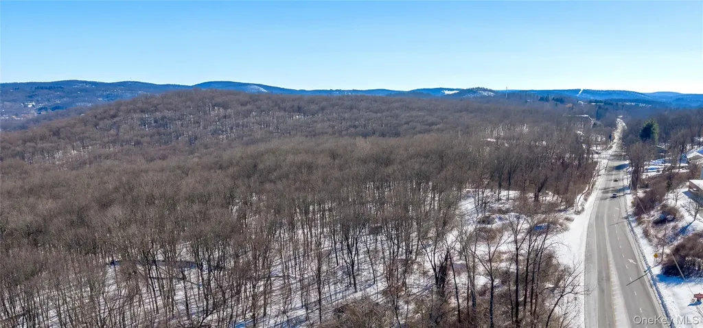 2310 Route 22 Patterson NY 12563