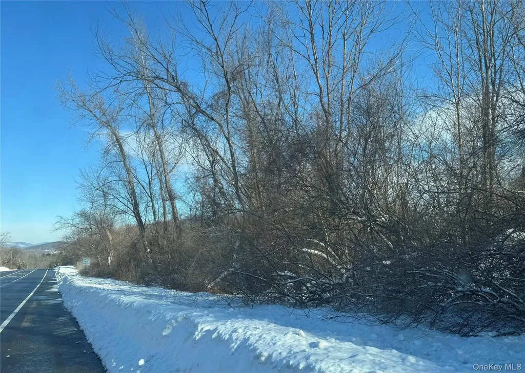 2310 Route 22 Patterson NY 12563