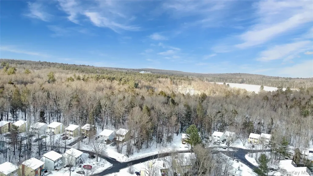 36 Peter Way Kiamesha Lake NY 12751