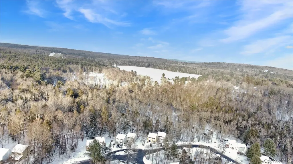 36 Peter Way Kiamesha Lake NY 12751