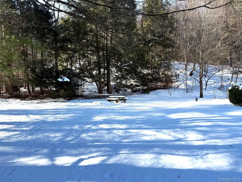 3481 Route 22 Dover Plains NY 12522