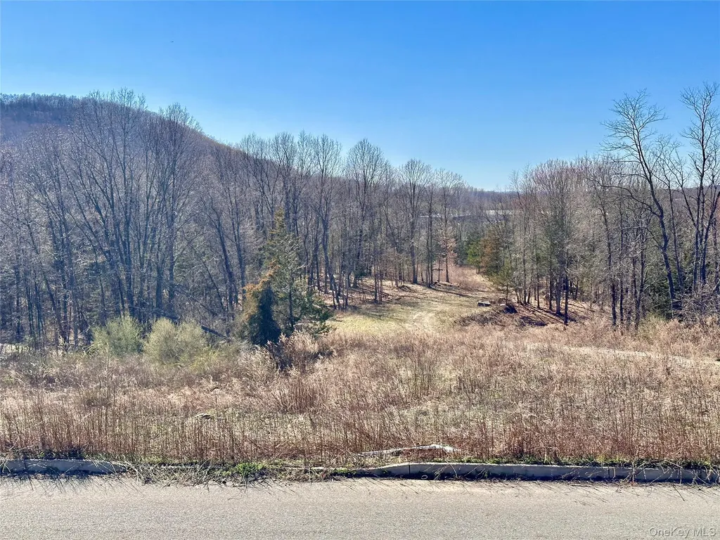 34 Mountainside Drive Chester NY 10918