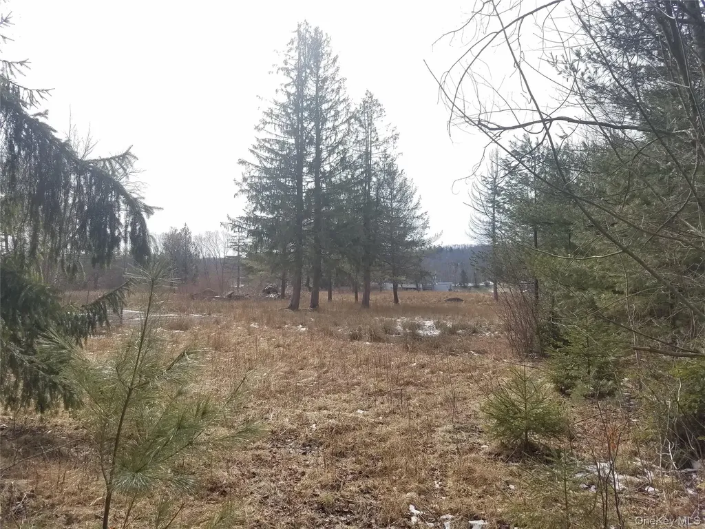 59 Lanahan Road Monticello NY 12701