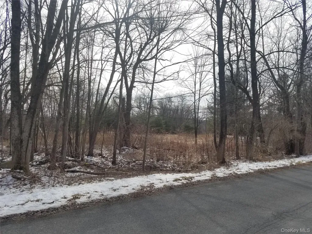 59 Lanahan Road Monticello NY 12701