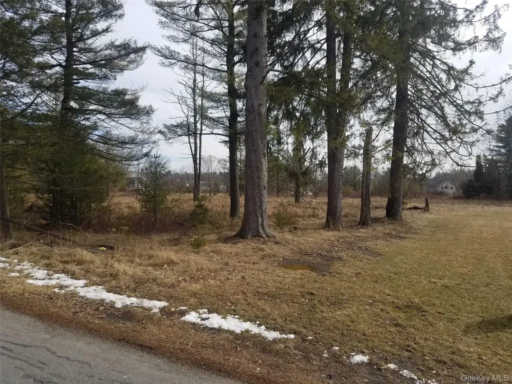 59 Lanahan Road Monticello NY 12701