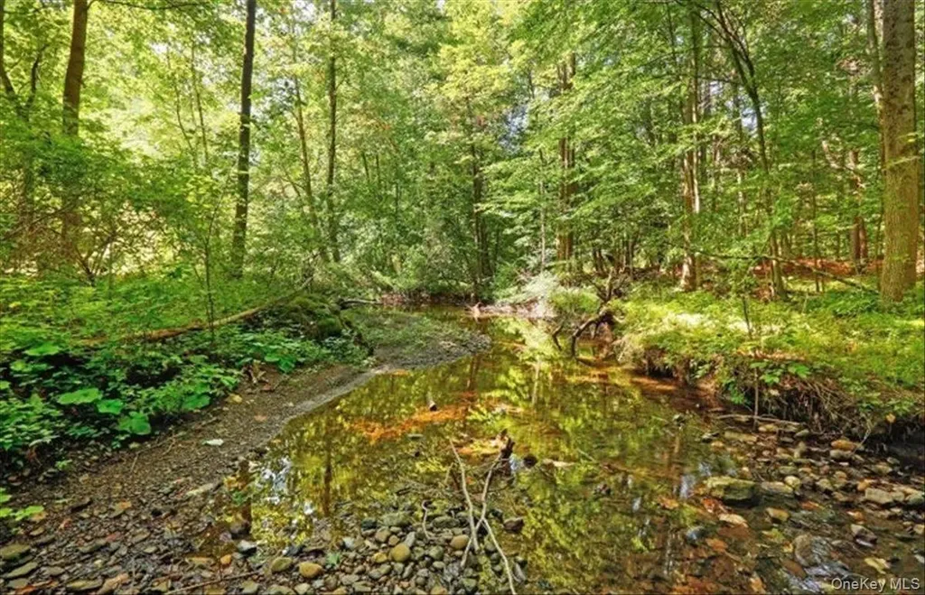266 Scheller Park Road Coxsackie NY 12124