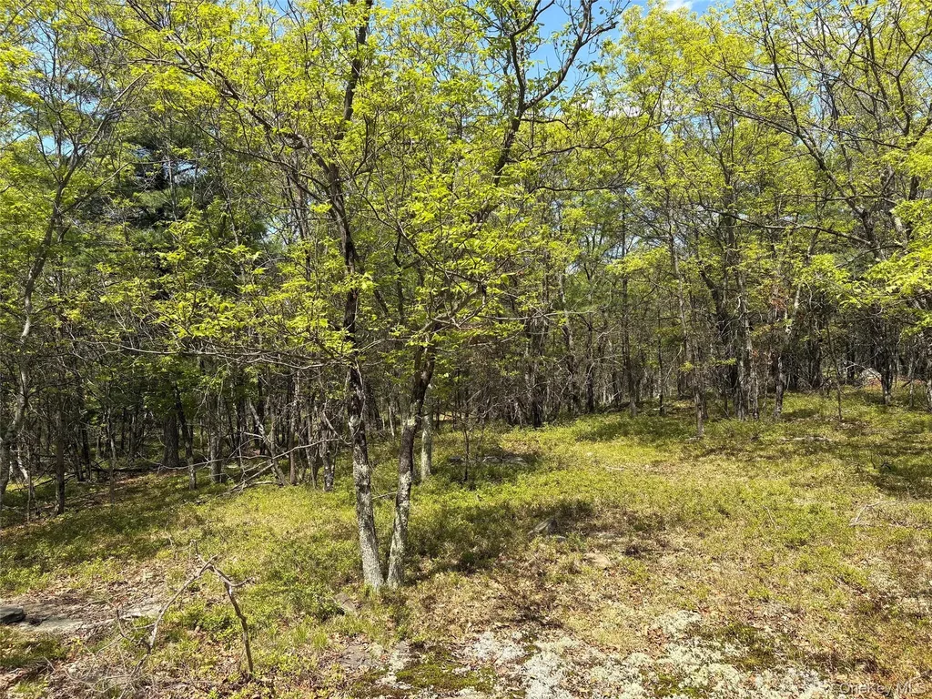 Route 28a West Hurley NY 12443