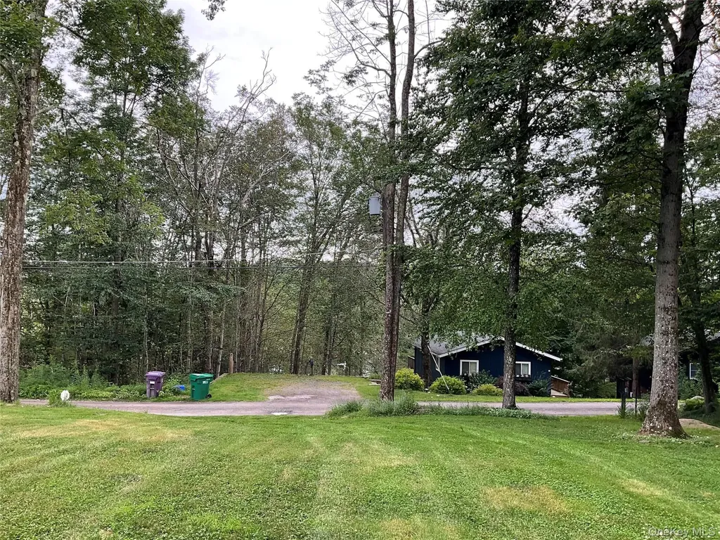 35 Mohawk Circle Ferndale NY 12734
