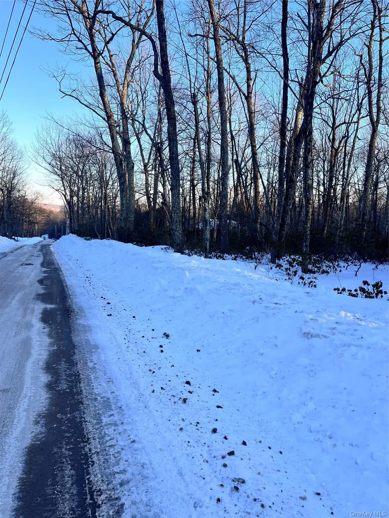 Budd Road Wurtsboro NY 12790