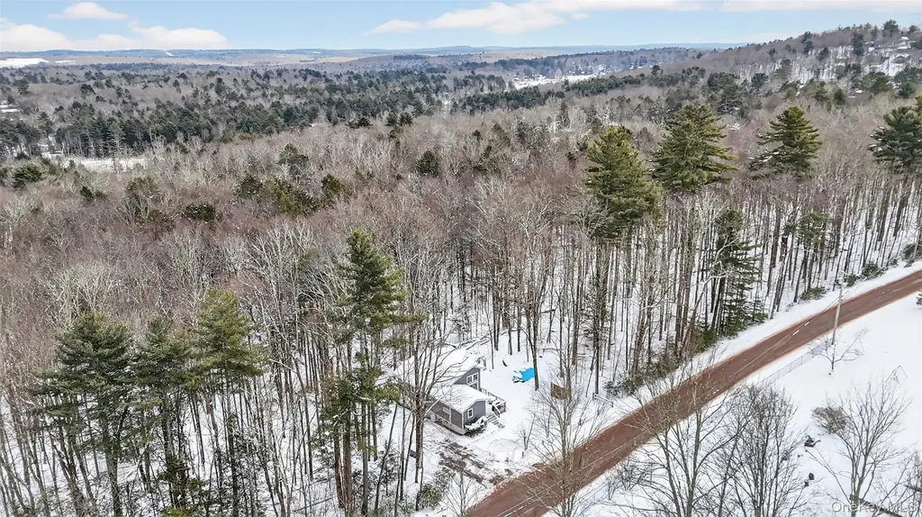 24 Schultz Road White Lake NY 12786