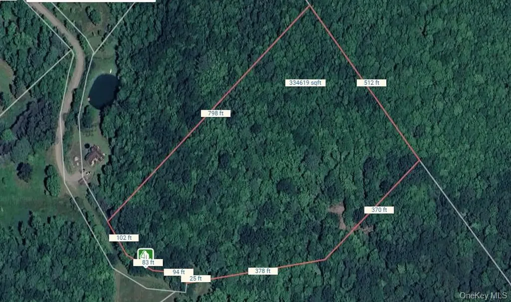 Lot 29.4 Sunset Trail Franklin NY 13775